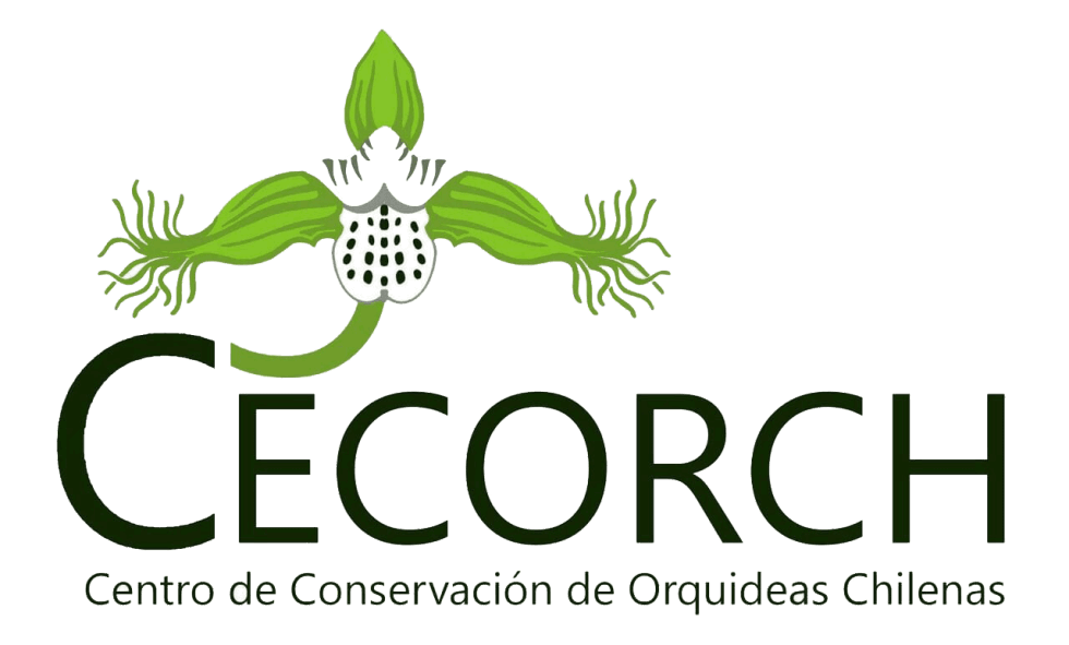 cecorch